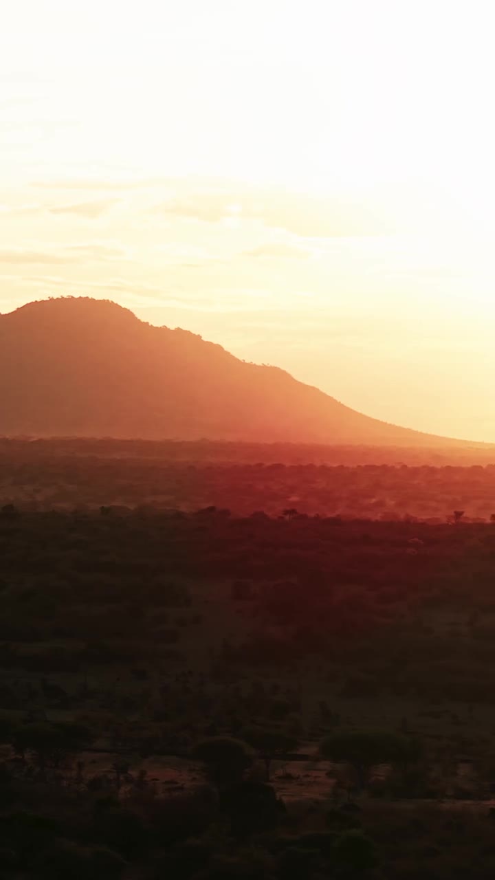 Still from Eric Averdung’s Cottar’s film