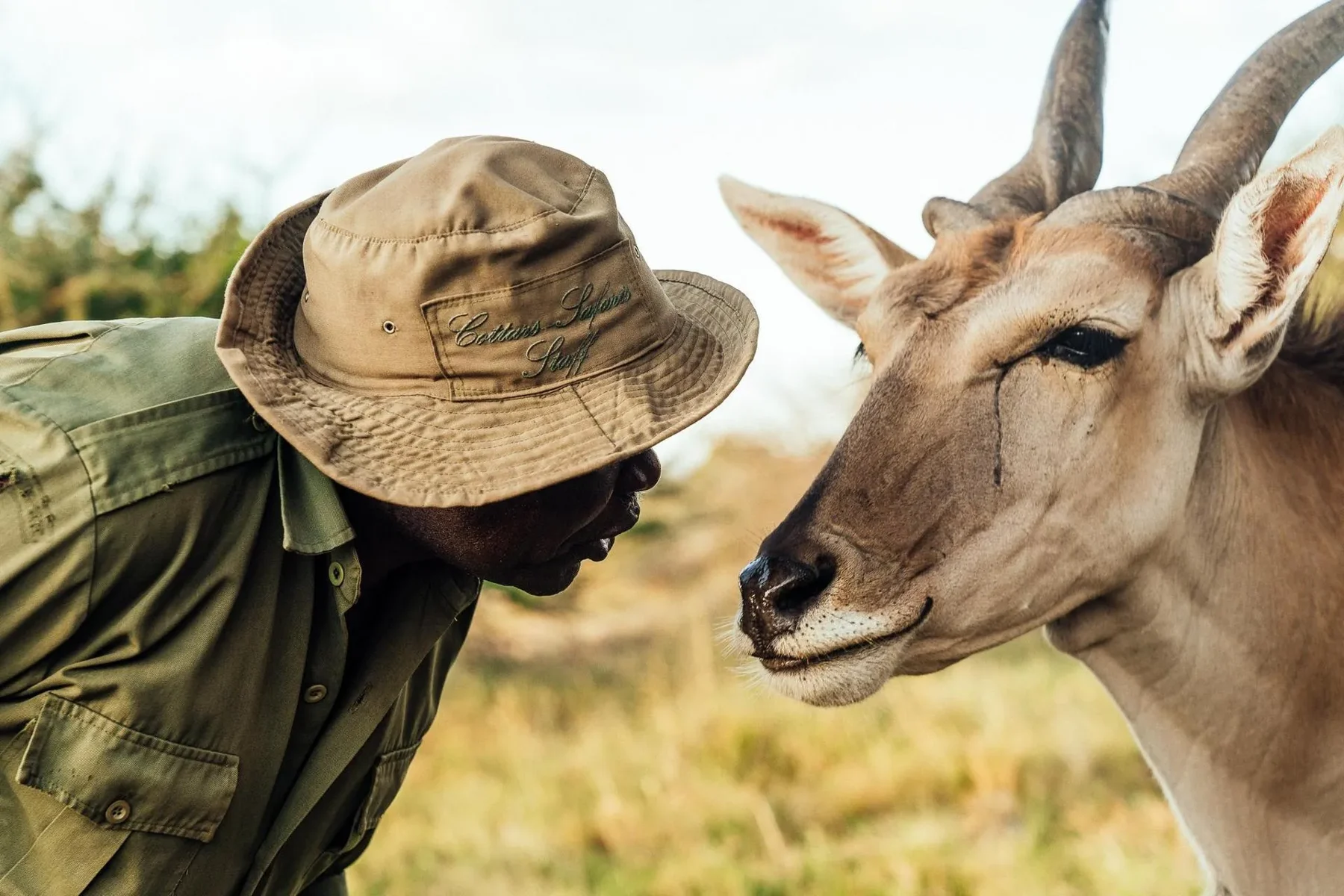 Cottar’s guide with an eland